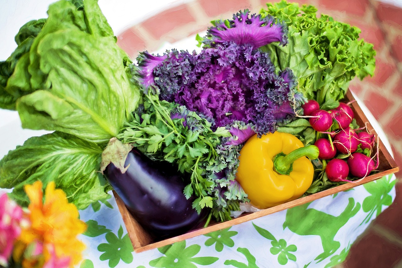 vegetables, garden, nature